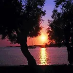 Paros Apartments