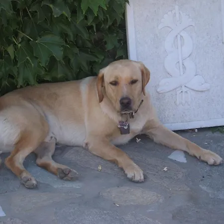 Apartment Paros Apartments