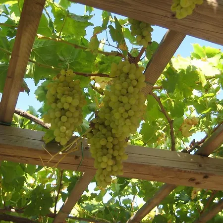 Paros Apartments Апартаменты